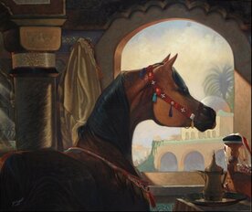 Youssouf Benaissa - Galerie